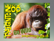 Paignton Zoo Car Sticker